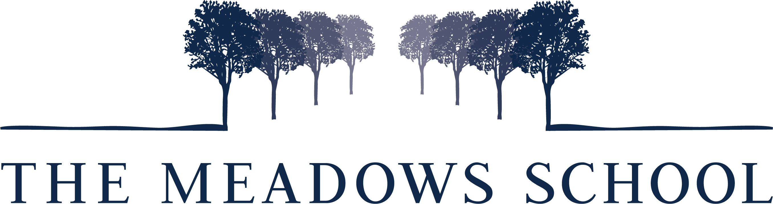 The Meadows School